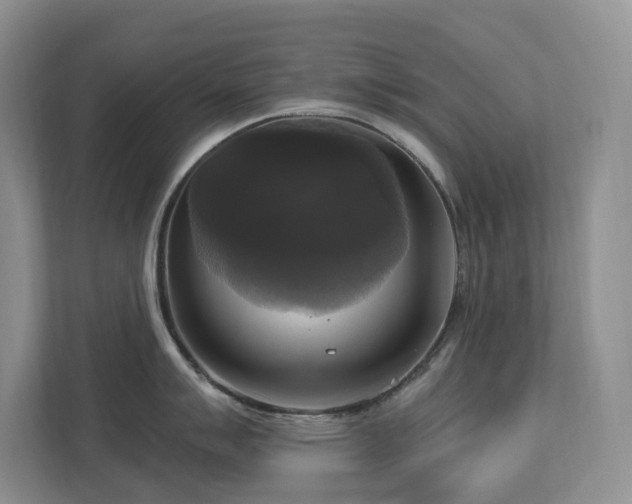 X0000112911007200908241202