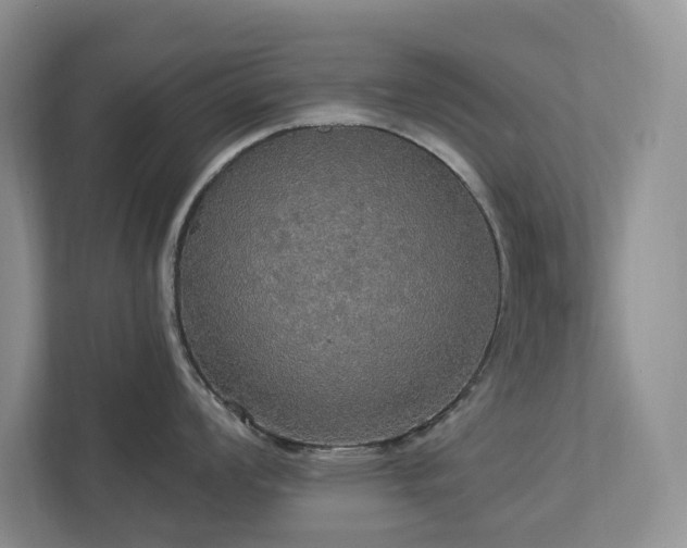 X0000112911008200908241202