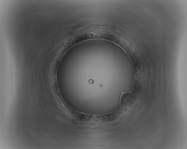 X0000112911009200908241201