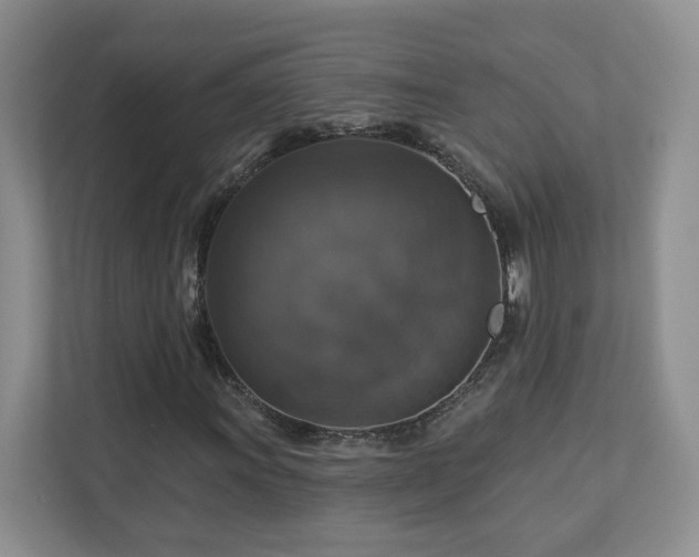 X0000112911011200908241201