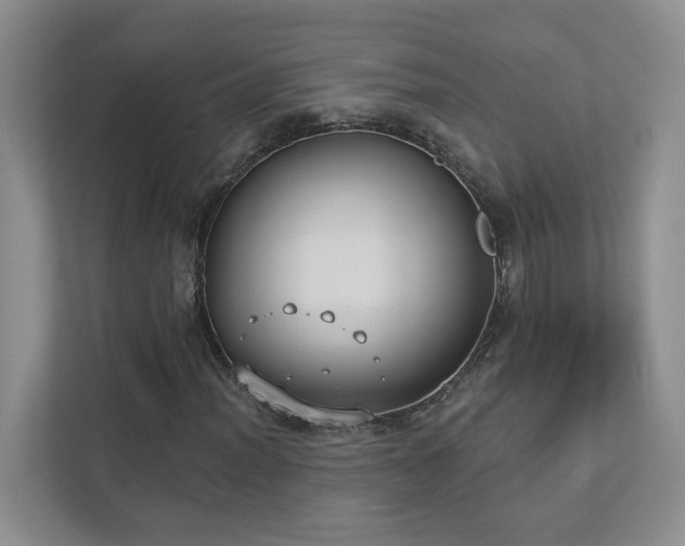 X0000112911012200908241201