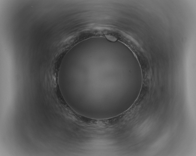 X0000112911013200908241201