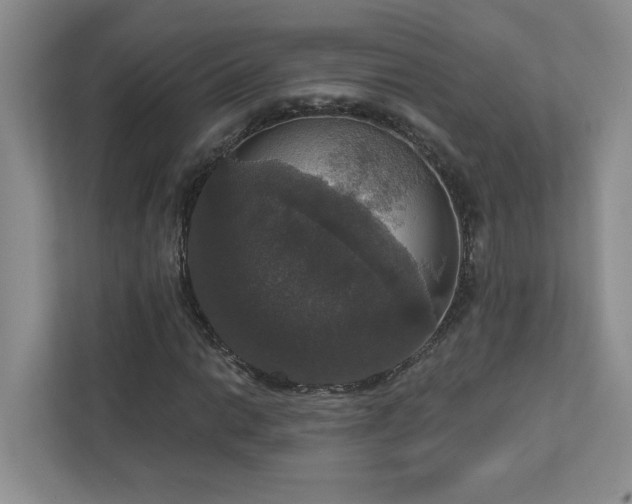 X0000112911014200908241201