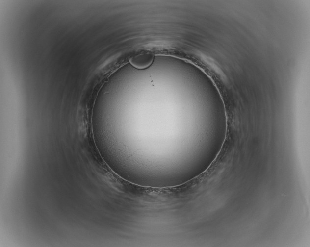 X0000112911015200908241201