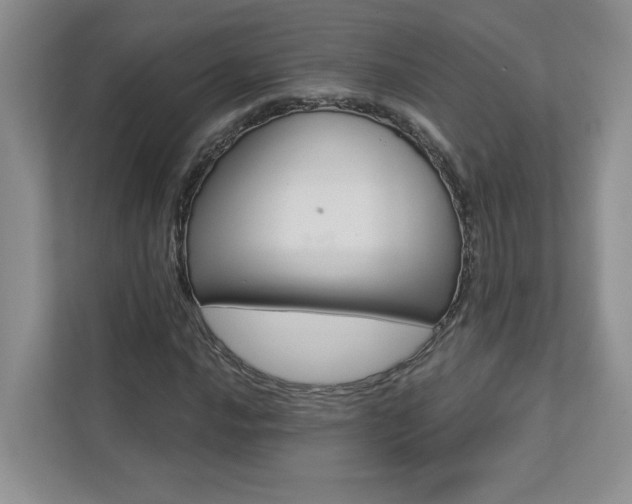 X0000112911016200908241201