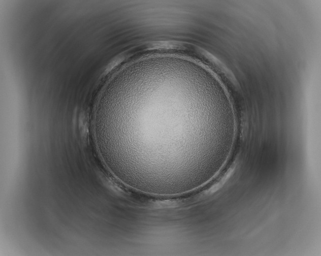 X0000112911017200908241201