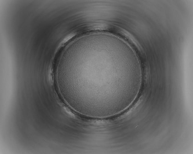 X0000112911018200908241201