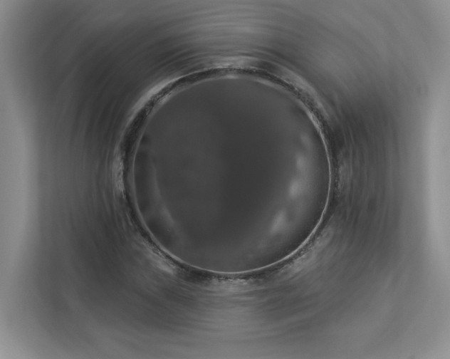 X0000112911019200908241201