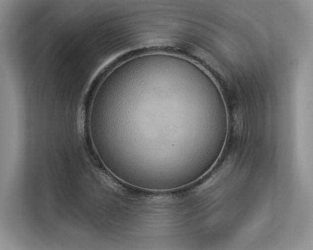 X0000112911021200908241201