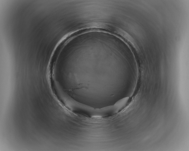 X0000112911024200908241202