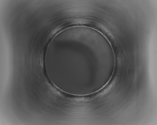 X0000112911025200908241202