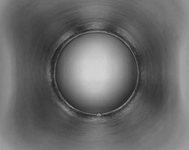 X0000112911026200908241202