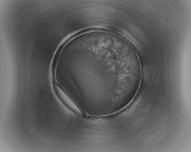 X0000112911028200908241202