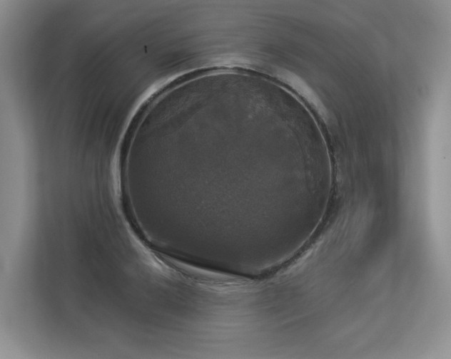 X0000112911032200908241202