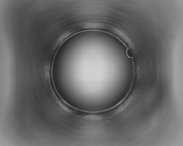 X0000112911033200908241202