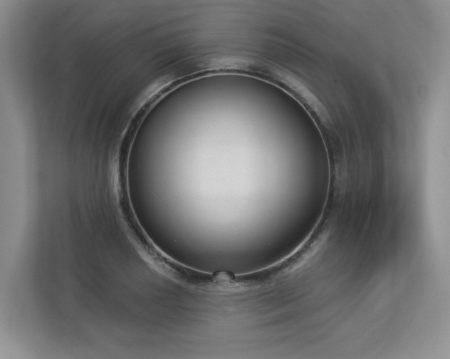 X0000112911034200908241202