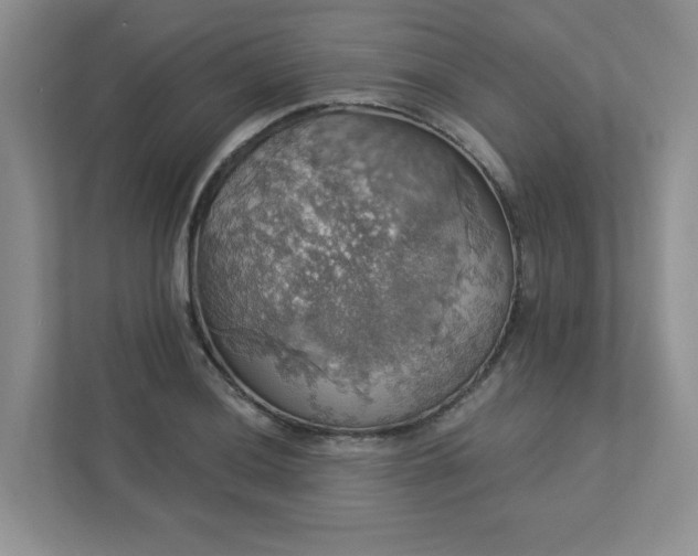 X0000112911036200908241202