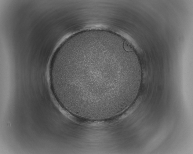 X0000112911038200908241202