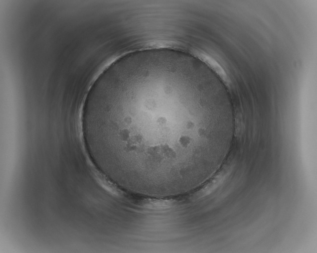 X0000112911039200908241202