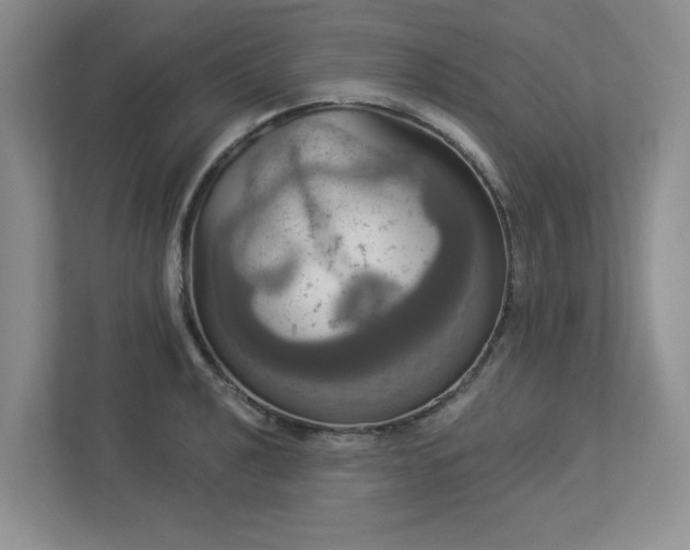 X0000112911040200908241202