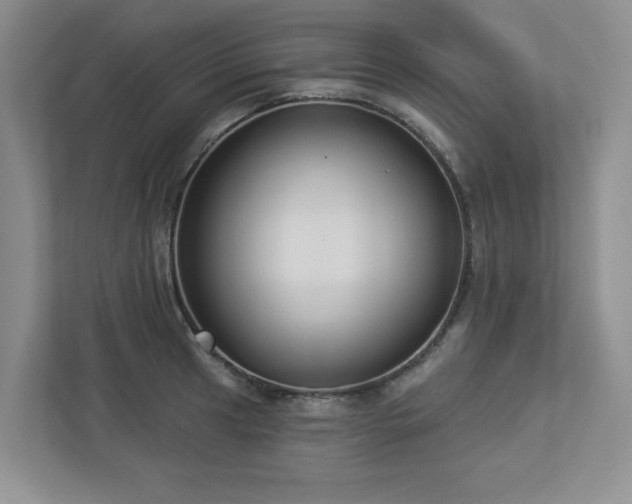 X0000112911041200908241202