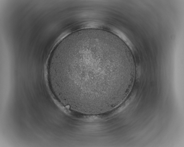 X0000112911042200908241202