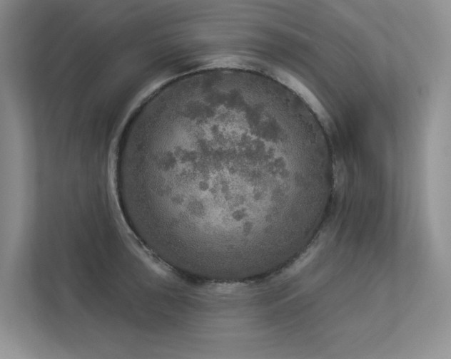 X0000112911043200908241202