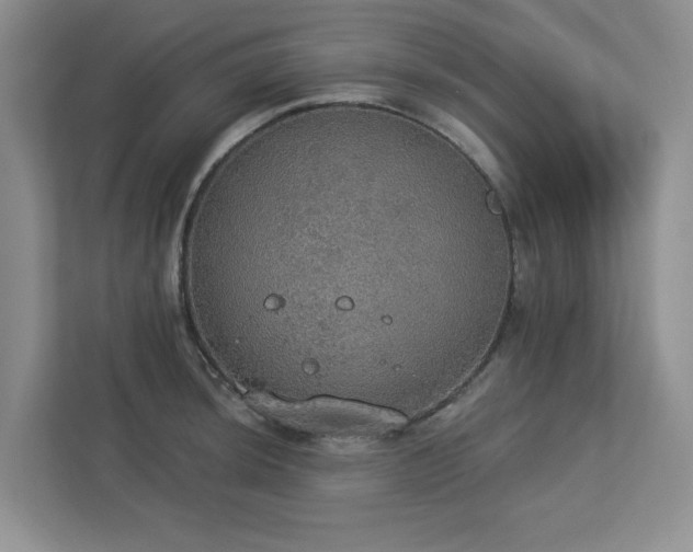 X0000112911044200908241202