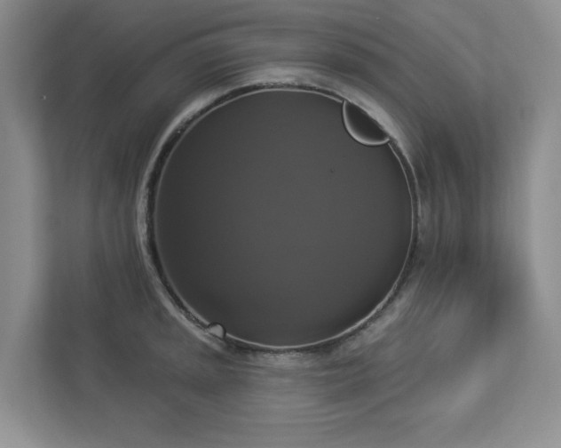 X0000112911045200908241202