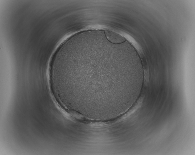 X0000112911046200908241202