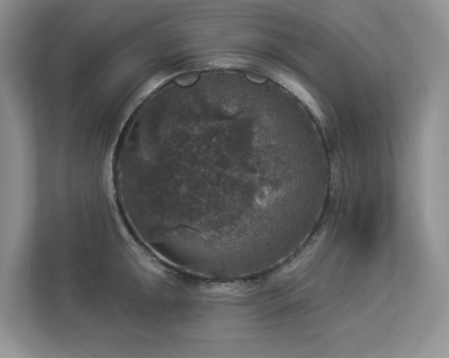 X0000112911047200908241202