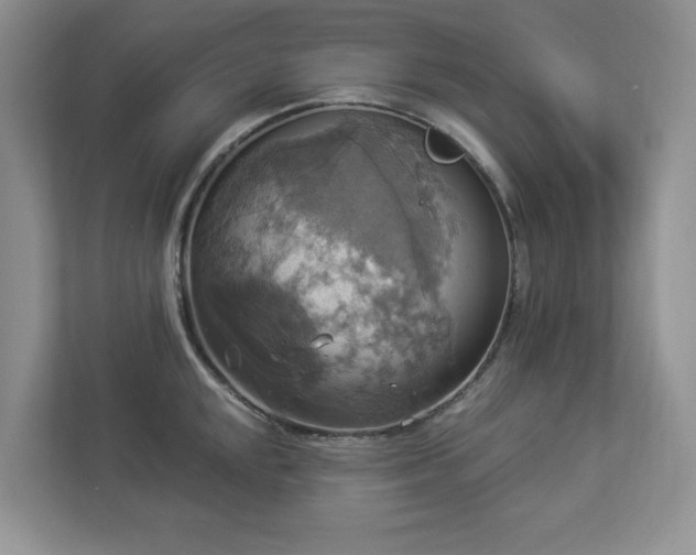 X0000112911048200908241202