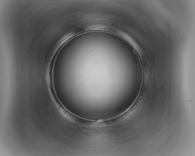 X0000112911050200908241202