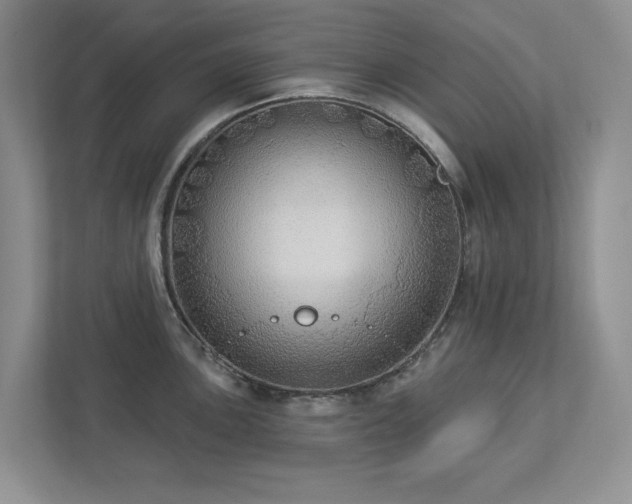 X0000112911051200908241202