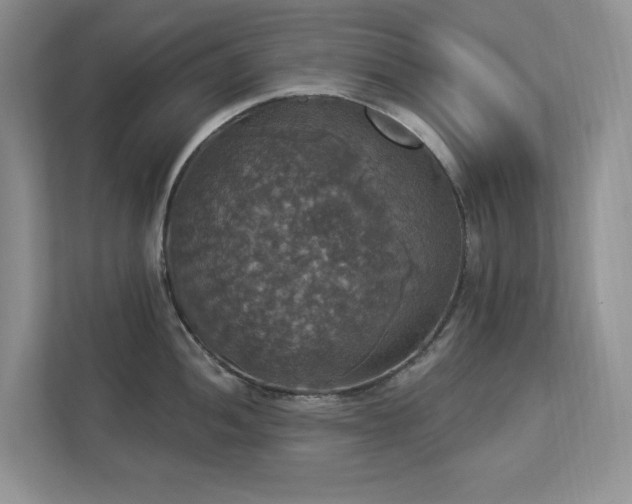 X0000112911052200908241202