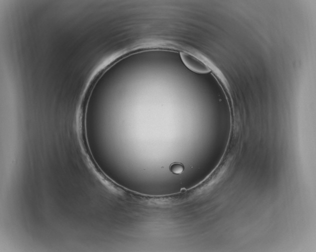 X0000112911053200908241202