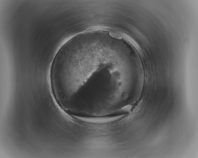 X0000112911055200908241202