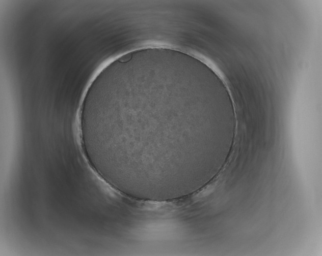 X0000112911056200908241202