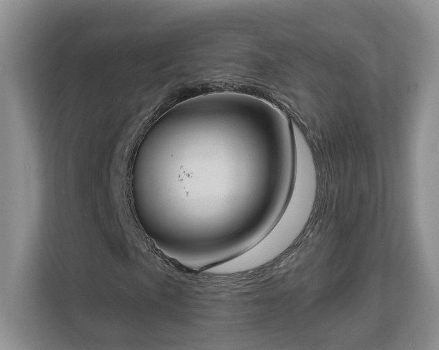 X0000112911057200908241201