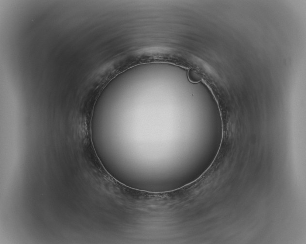 X0000112911062200908241201