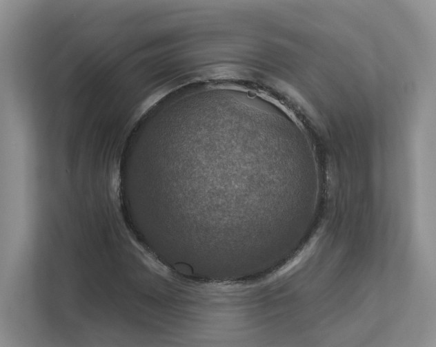 X0000112911065200908241201