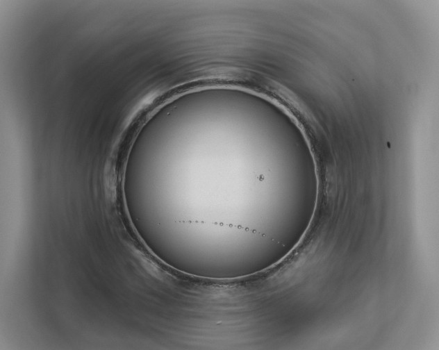 X0000112911067200908241201