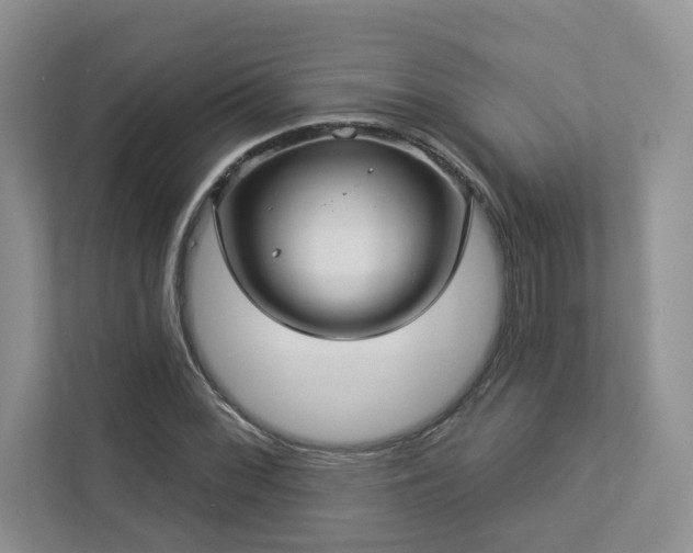 X0000112911068200908241201