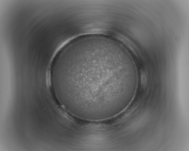 X0000112911069200908241201