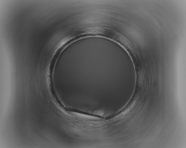 X0000112911071200908241201