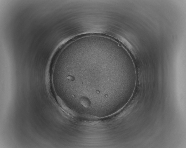 X0000112911072200908241201