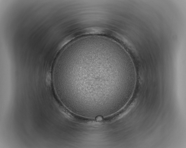 X0000112911073200908241201