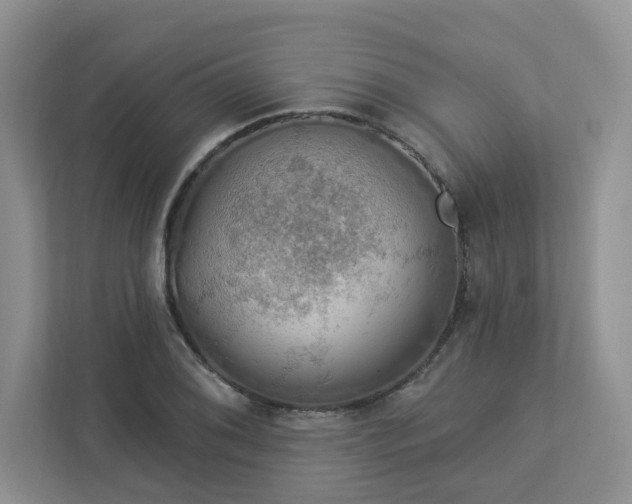 X0000112911076200908241201