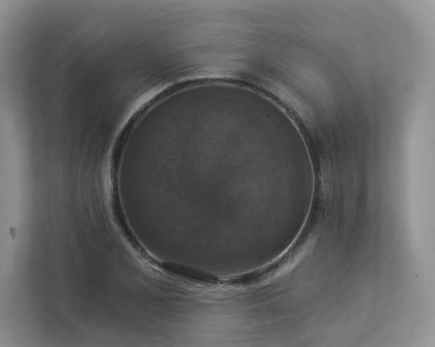 X0000112911077200908241201