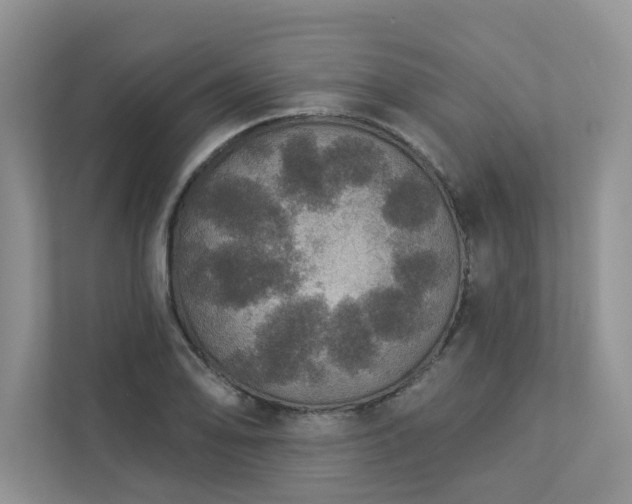 X0000112911078200908241201